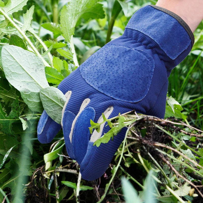 Dornenfeste Gartenhandschuhe – Rindsleder, verstärkter Daumen & Bündchenschutz