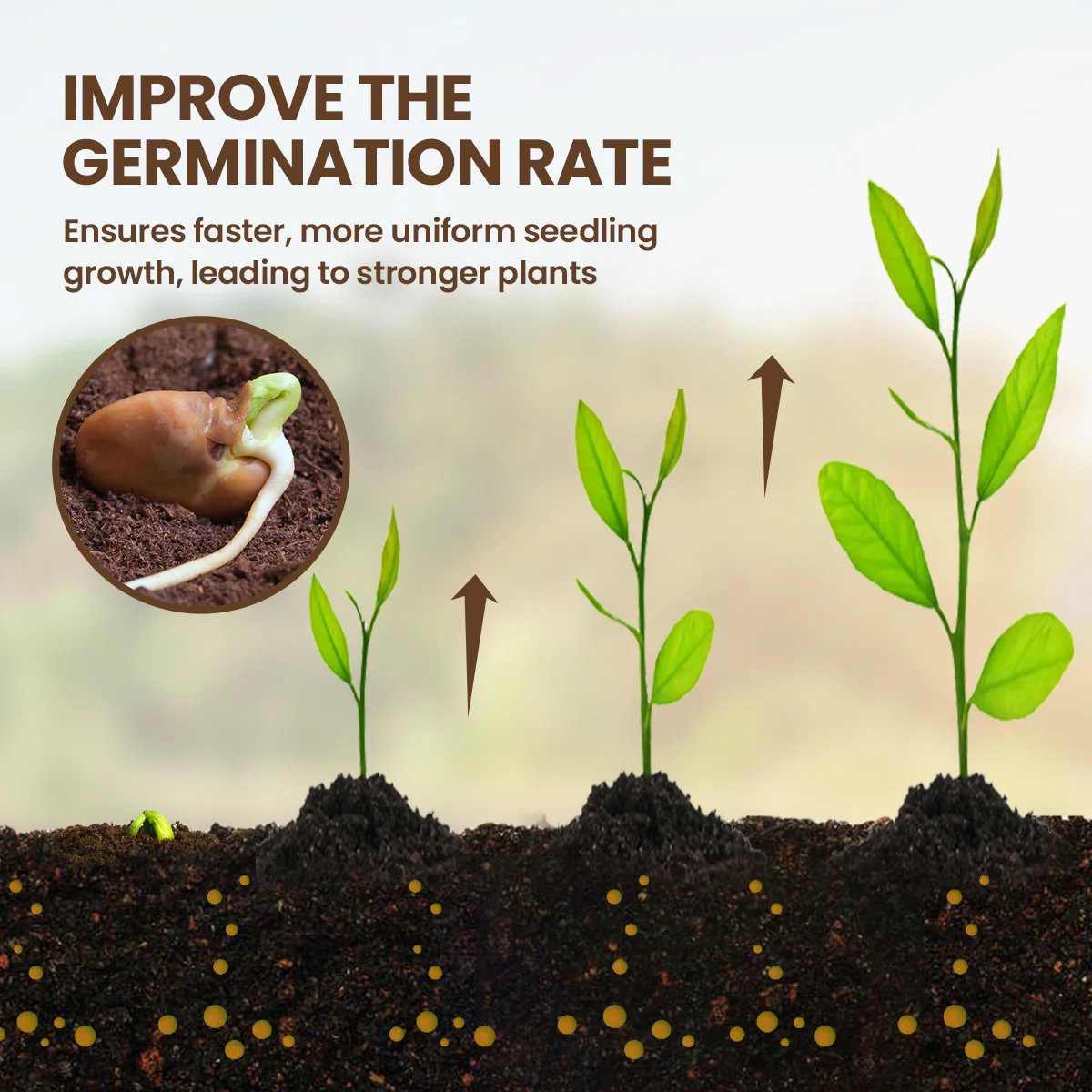 Pflanzen-Bodenverbesserer – Schnelle Wachstumsergebnisse (3 Stück) - Zorenza