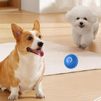 Interaktiver Hundeball mit Sensoren -    Zorenza