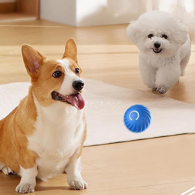 Interaktiver Hundeball mit Sensoren -    Zorenza