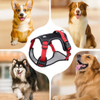 Hundegeschirr mit LED-Halsband – Anti-Zieh Design -    Zorenza