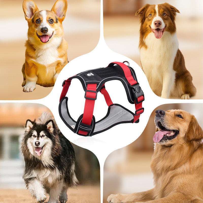 Hundegeschirr mit LED-Halsband – Anti-Zieh Design -    Zorenza