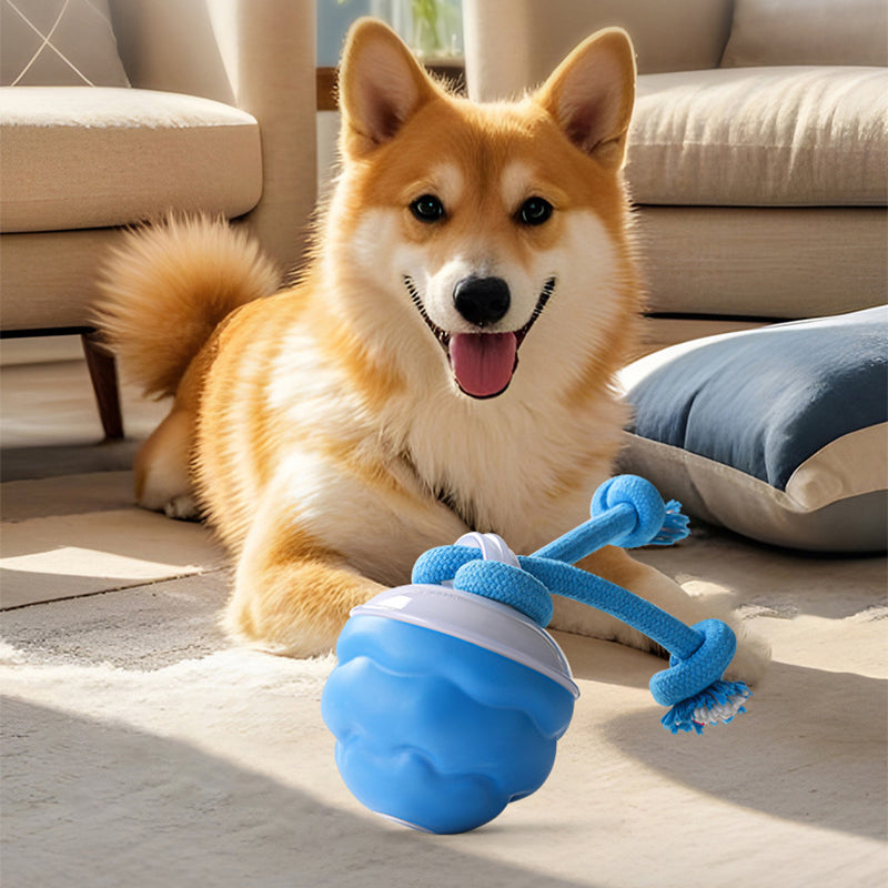 Hundespieltier elektronisch mit Soundaktivierung und LED -    Zorenza