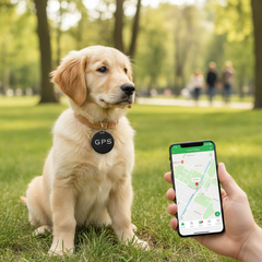 Mini GPS-Tracker — Live-Ortung per App für Gepäck, Auto & Haustier — technical_how_it_works.step_3_image