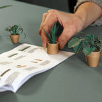 Origami-Bastelset zum Falten – 50 Tierfiguren aus Papier -    Zorenza