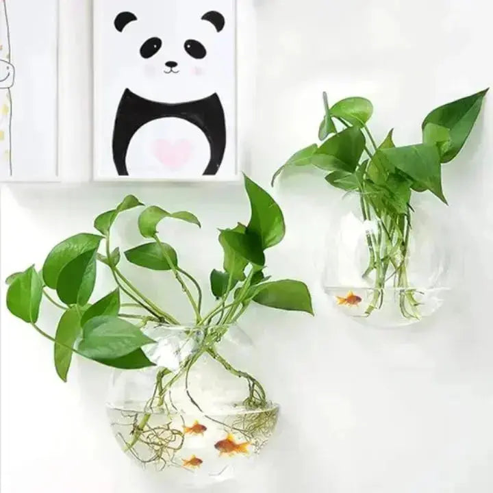 1+1 Gratis | Elegante Glas-Wandvase – Minimalistischer Pflanzenhalter Zorenza