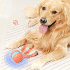 Hundespielzeug mit Bewegungssensor und zwei Geschwindigkeitsmodi -    Zorenza