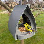 BirdHaven – Gemütliches Vogelhäuschen | 50% RABATT Zorenza