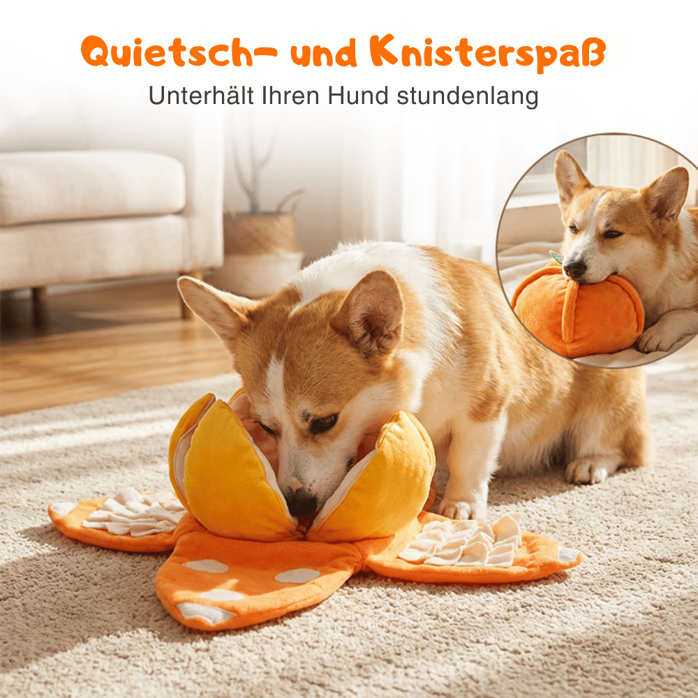 Interaktives Plüsch-Hundespielzeug mit Quietscher – Versteck-Puzzle für Leckerchen Zorenza