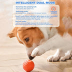 Interaktiver Hundeball mit Sensoren -    Zorenza