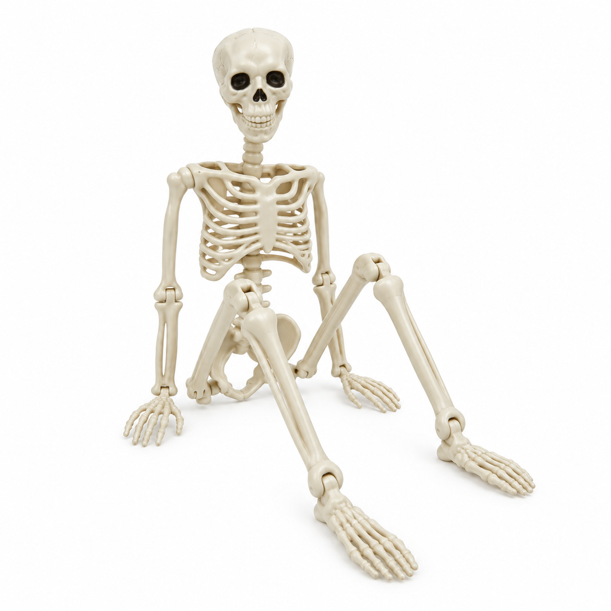Halloween-Skelett 40 cm beweglich – Deko für Garten und Innenbereich -    Zorenza