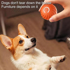 Interaktiver Hundeball mit Sensoren -    Zorenza