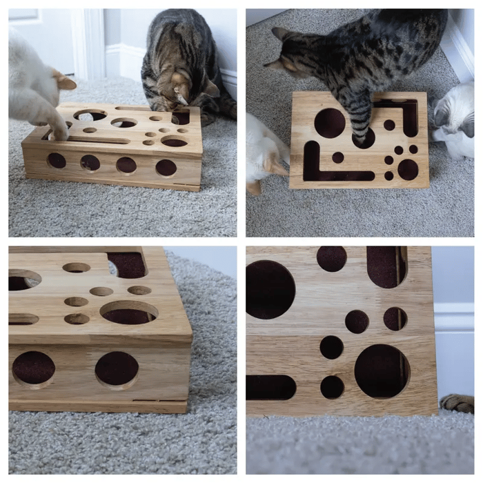 Katzen-Intelligenzspielzeug mit Nagelfeile aus Holz -    Zorenza