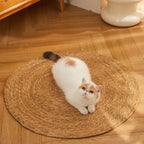 Geflochtene Jute-Kratzmatte für Katzen – Natürlich & Langlebig -    Zorenza