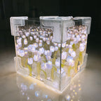 Tulpen-Leuchtbox mit Spiegeleffekt und LED-Licht -    Zorenza
