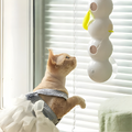 Wandmontiertes Katzenspielzeug – Automatisiertes Bewegungssystem - Zorenza