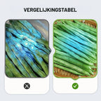 365 nm UV-Taschenlampe – Kompaktes Schwarzlicht für den Heimgebrauch Zorenza