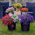 Künstliche Blumen UV-beständig -    Zorenza