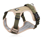 Hundegeschirr mit LED-Halsband – Anti-Zieh Design -    Zorenza
