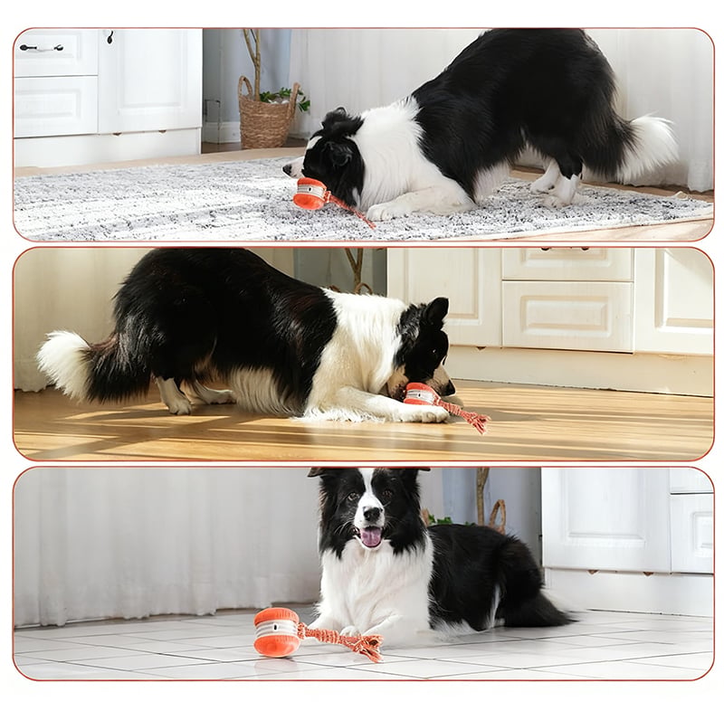 Hundespielzeug mit Bewegungssensor und zwei Geschwindigkeitsmodi -    Zorenza