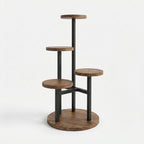 Studio collection image