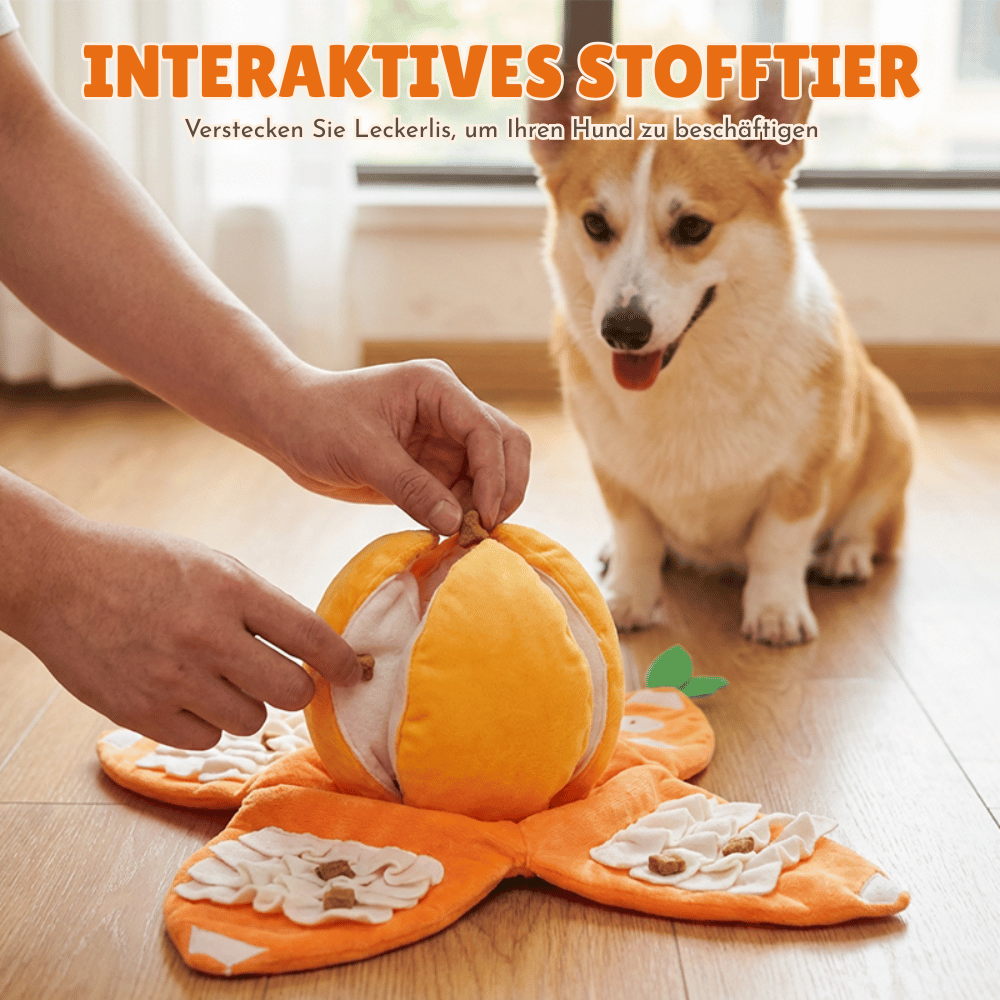 Interaktives Plüsch-Hundespielzeug mit Quietscher – Versteck-Puzzle für Leckerchen Zorenza