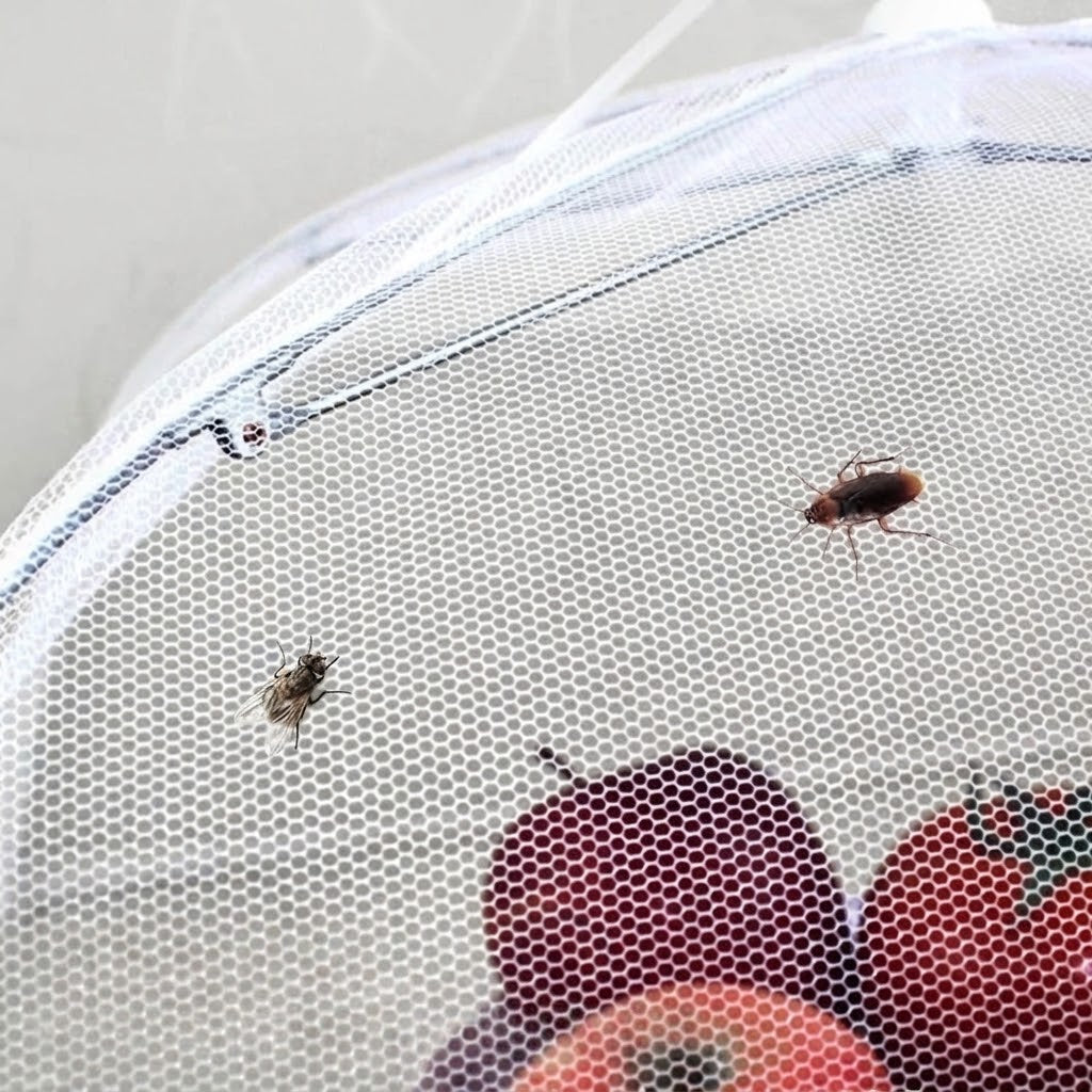 Speiseabdeckung Mesh faltbar – Insektenschutz -    Zorenza