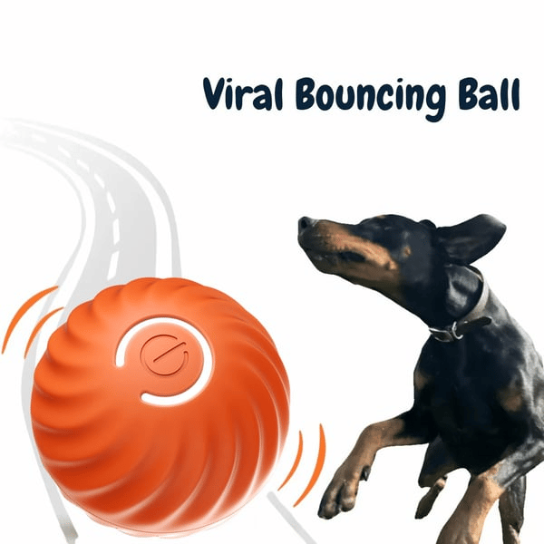 Interaktiver Hundeball mit Sensoren -    Zorenza