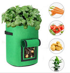 Kartoffel-Pflanztasche mit Erntefenster -    Zorenza