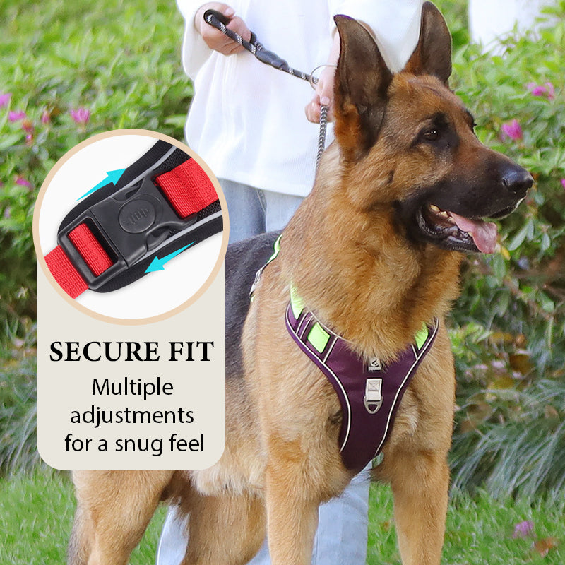 Hundegeschirr mit LED-Halsband – Anti-Zieh Design -    Zorenza