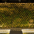 Solar-Lichternet LED mit Netzstruktur für Garten und Terrasse -    Zorenza