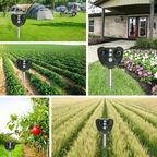 Ultraschall Vogelschreck Solar – Wetterfest für Garten und Hof -    Zorenza