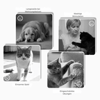 Interaktives Plüsch-Hundespielzeug mit Quietscher – Versteck-Puzzle für Leckerchen Zorenza