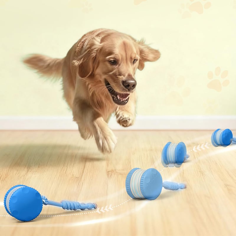 Hundespielzeug mit Bewegungssensor und zwei Geschwindigkeitsmodi -    Zorenza
