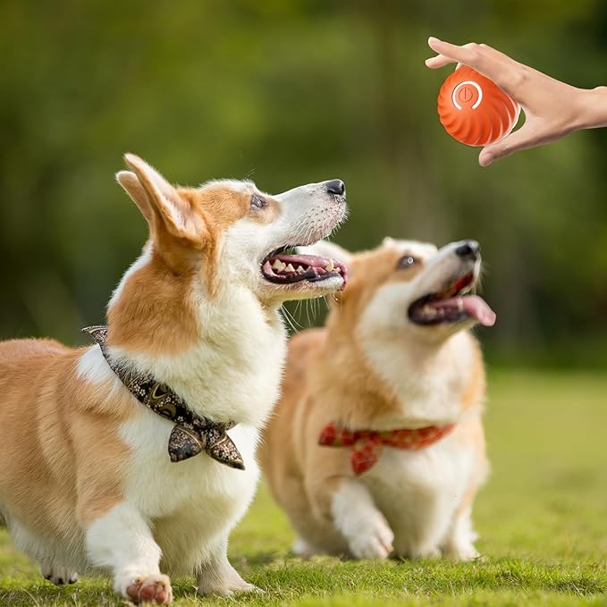 Interaktiver Hundeball mit Sensoren -    Zorenza