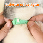 Katzenhalsband mit Laserpointer und Bewegungssensor -    Zorenza