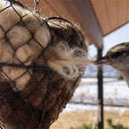 Herzförmiger Halter für Vogelnestmaterial mit Aufhängekette Zorenza