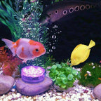LED-Tauchlicht mit Fernbedienung für Pool und Aquarium -    Zorenza