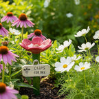 Bienen-Tränke mit Pfahl für Garten und Balkon -    Zorenza