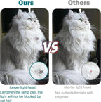 Automatisches Laser-Spielhalsband für Katzen – Aktiv Auch Ohne Aufsicht Zorenza