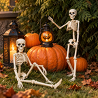 Halloween-Skelett 40 cm beweglich – Deko für Garten und Innenbereich -    Zorenza