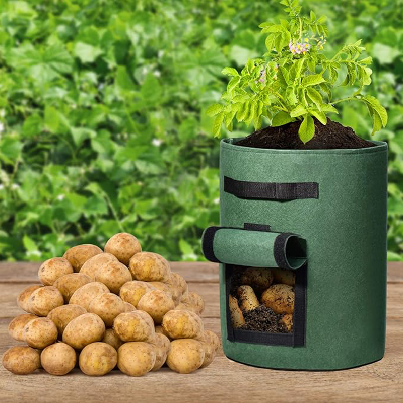 Kartoffel-Pflanztasche mit Erntefenster -    Zorenza