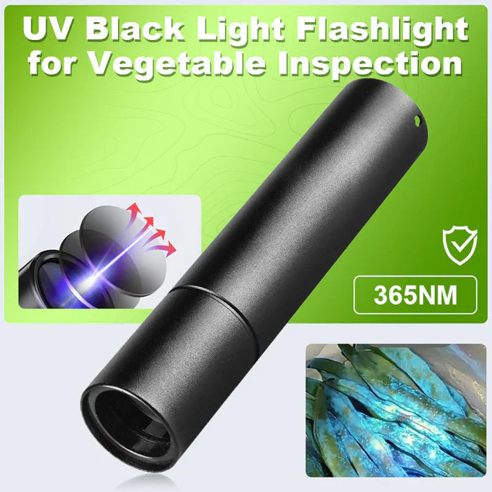 365 nm UV-Taschenlampe – Kompaktes Schwarzlicht für den Heimgebrauch Zorenza