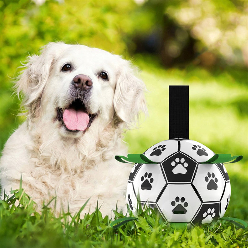 Hundespielzeug Fußball schwimmend mit Pfotenmuster -    Zorenza