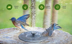 Solar-Springbrunnen mit 4 Düsen für Garten und Teich -    Zorenza