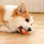 Interaktiver Hundeball mit Sensoren -    Zorenza