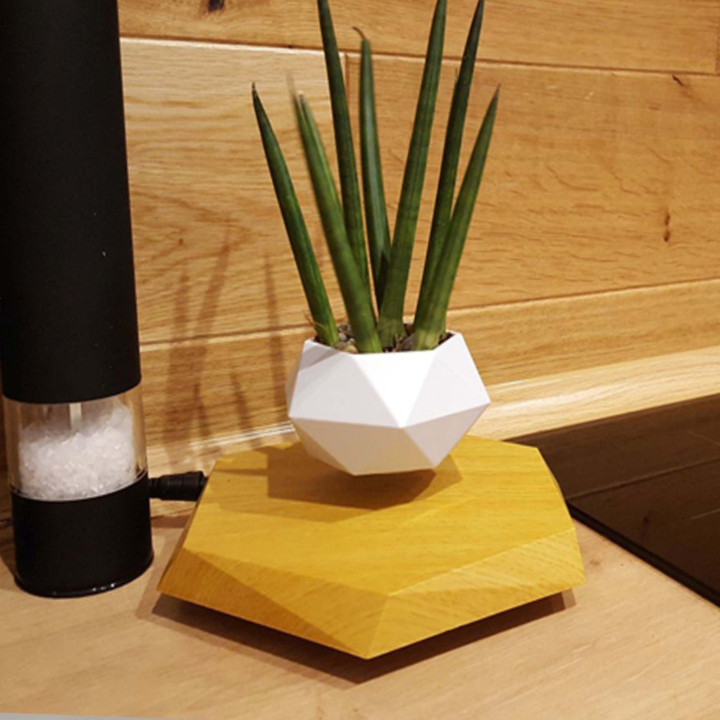 Schwebender Blumentopf mit Magnetschwebetechnik -    Zorenza