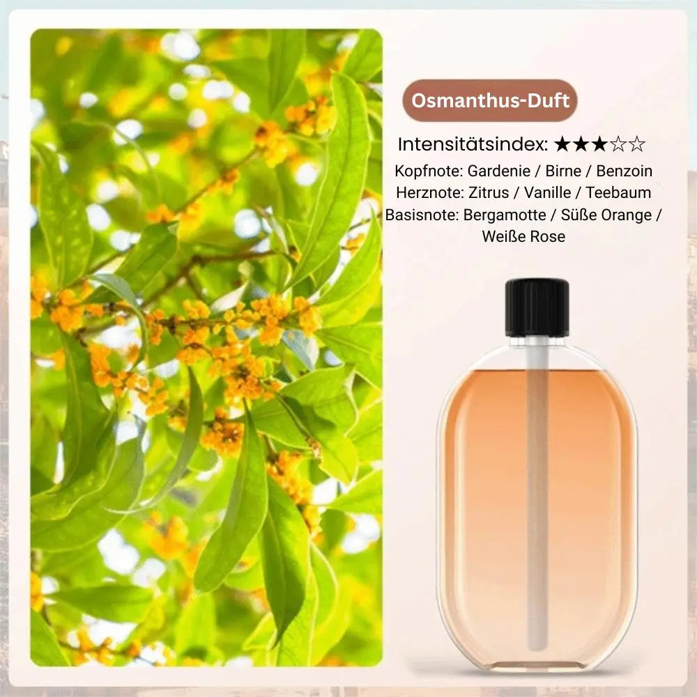 Automatischer Aroma-Diffusor – Sanfter Duft & beruhigende Atmosphäre für Zuhause Mivoza Deutschland