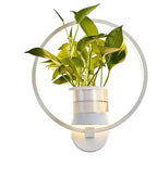 Botanische Wandleuchte mit integriertem Pflanzenelement Zorenza