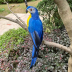Dekorativer Papagei Gartenornament – Lebensechte Vogelfigur mit Federn Zorenza